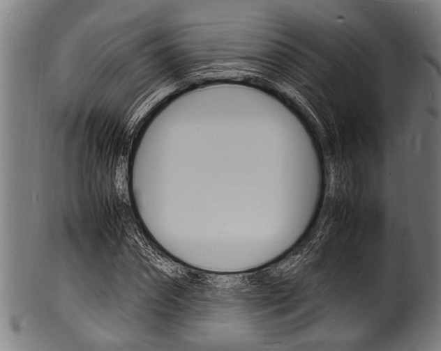 X0000100980874200806241146