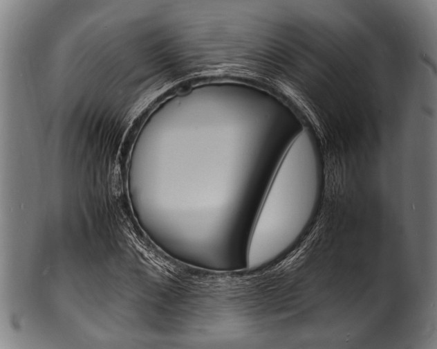 X0000100980876200806241146