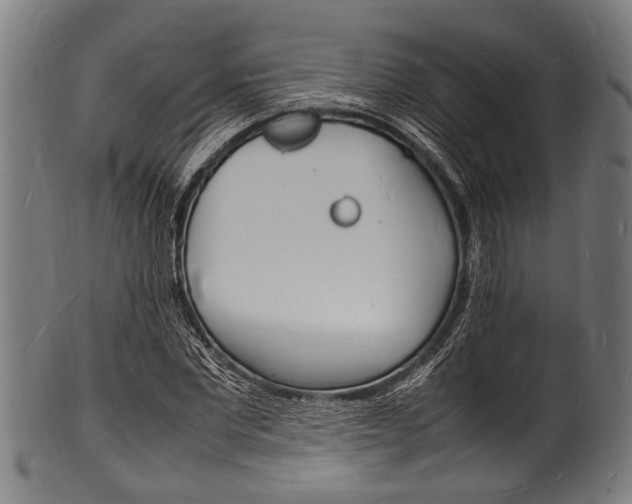 X0000100980877200806241146