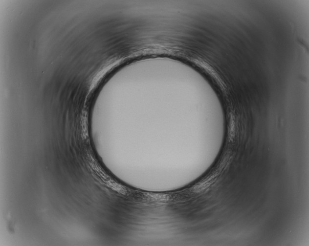 X0000100980878200806241146