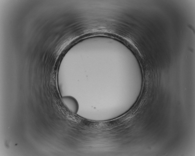 X0000100980879200806241146