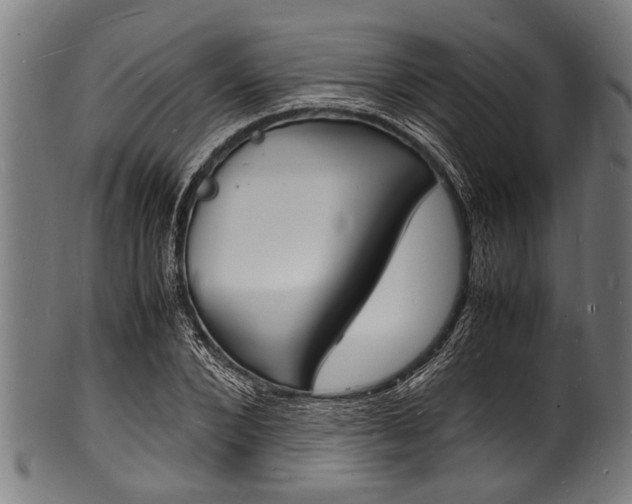 X0000100980880200806241146