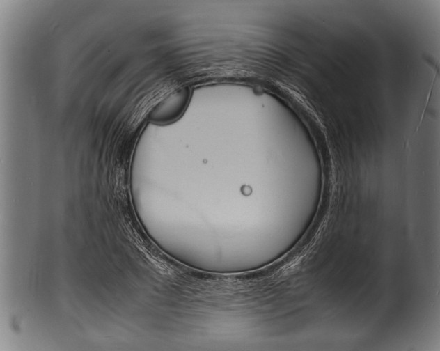 X0000100980881200806241146