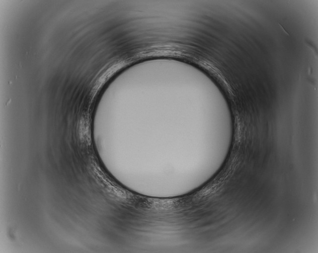 X0000100980882200806241146
