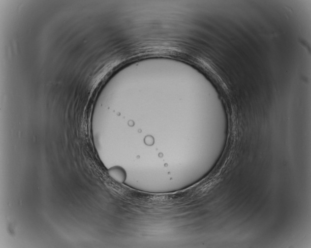 X0000100980883200806241146