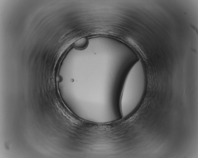 X0000100980884200806241146
