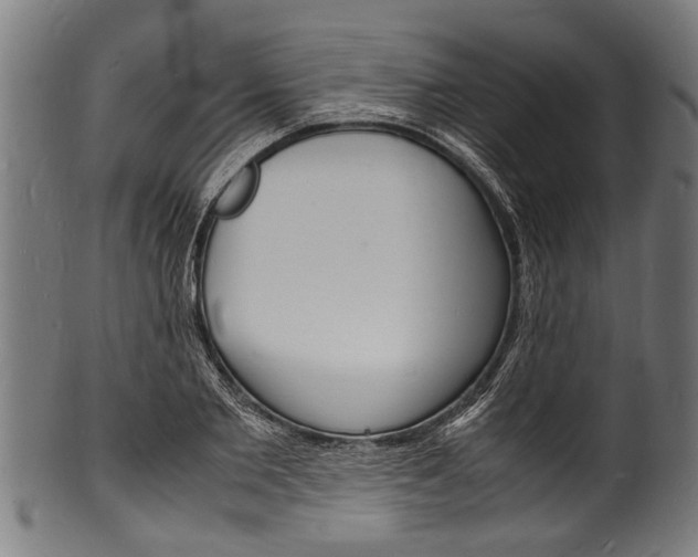X0000100980885200806241146