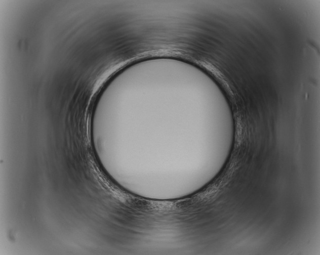 X0000100980886200806241146