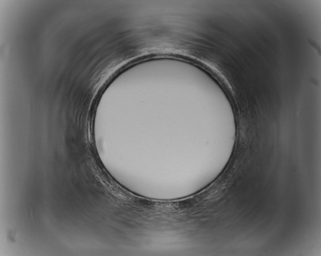 X0000100980887200806241146
