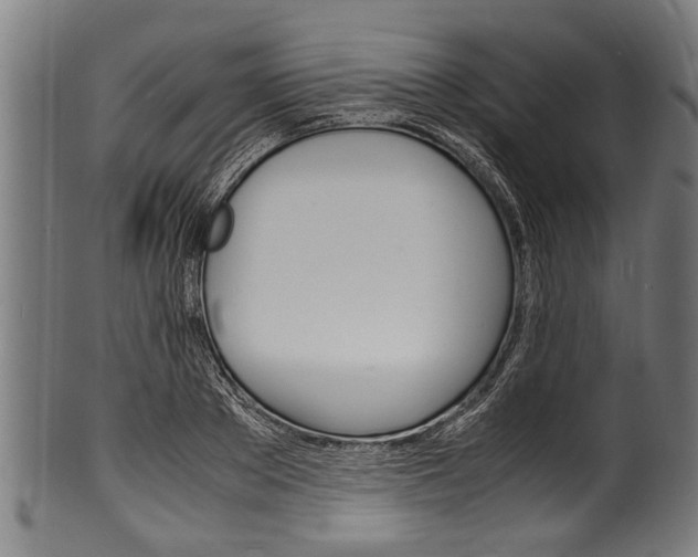 X0000100980889200806241146