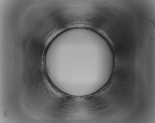 X0000100980890200806241146