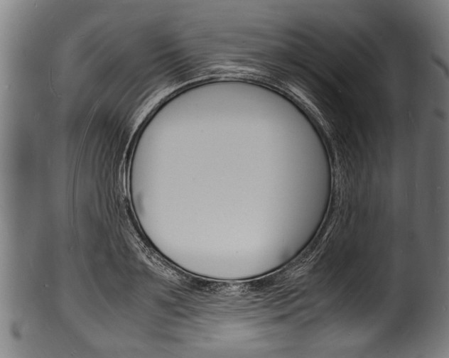 X0000100980891200806241146