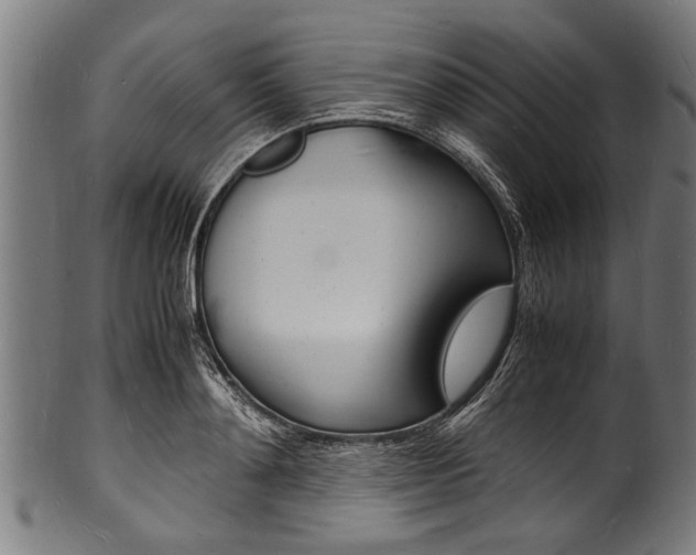X0000100980892200806241146