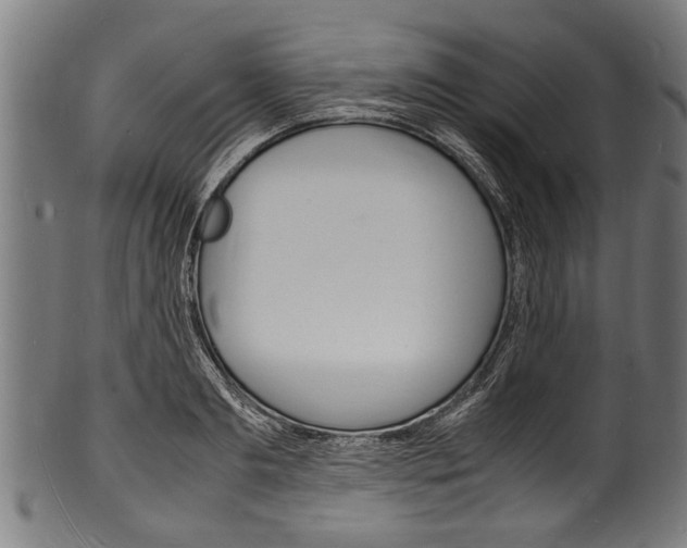 X0000100980893200806241146