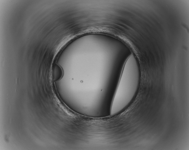 X0000100980894200806241146