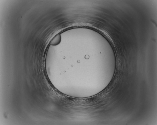 X0000100980895200806241146