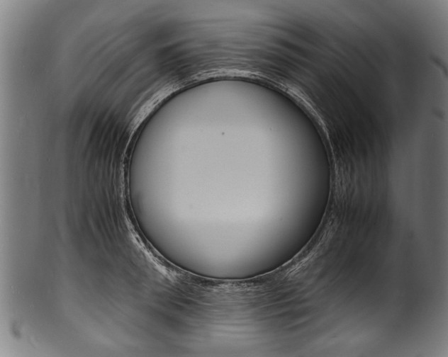 X0000100980898200806241146