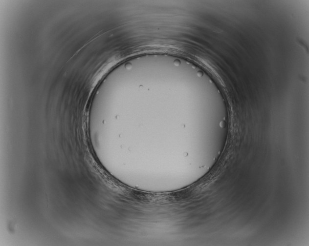 X0000100980899200806241146