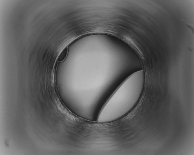 X0000100980900200806241146