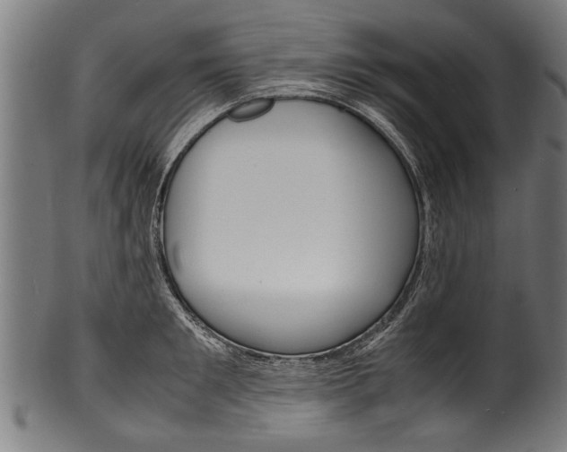 X0000100980901200806241146