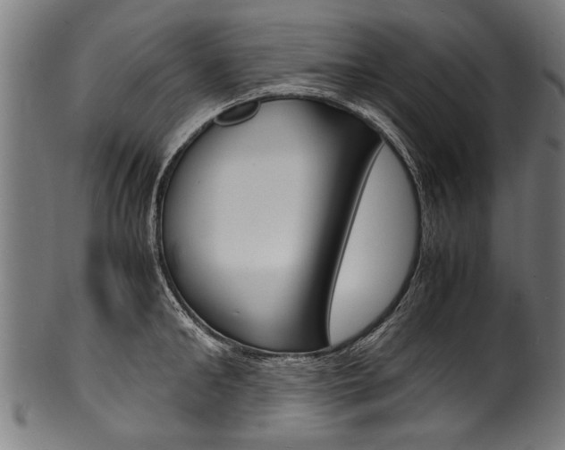 X0000100980902200806241146