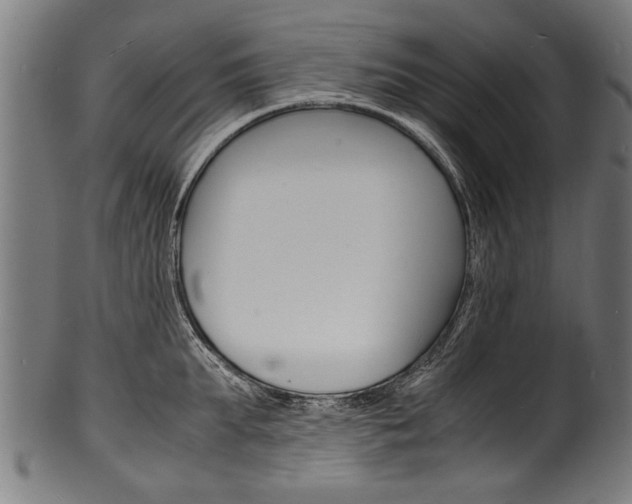 X0000100980903200806241146