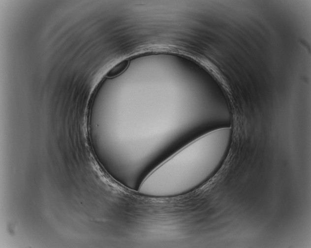 X0000100980904200806241146