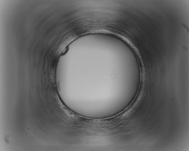 X0000100980905200806241146
