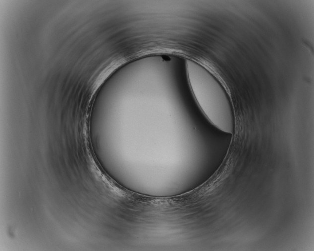 X0000100980906200806241145