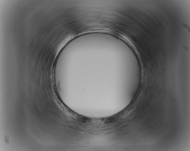 X0000100980907200806241145