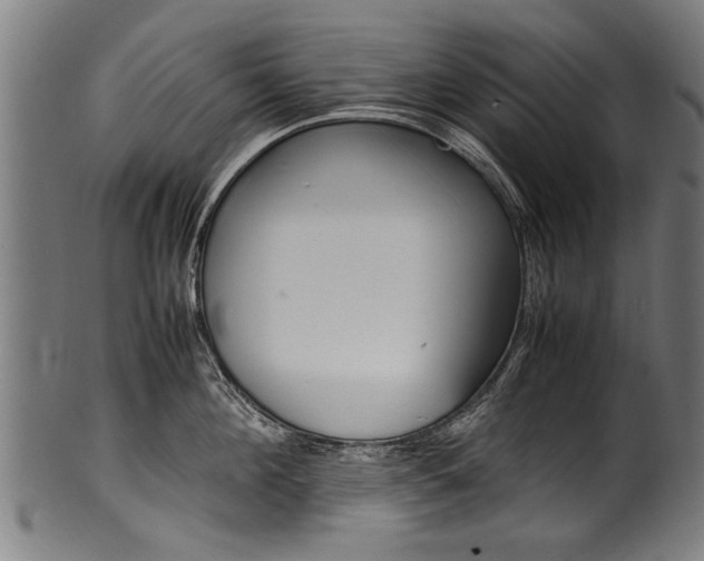 X0000100980908200806241145