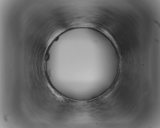 X0000100980909200806241145