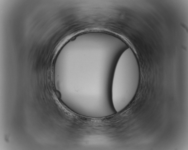 X0000100980911200806241145