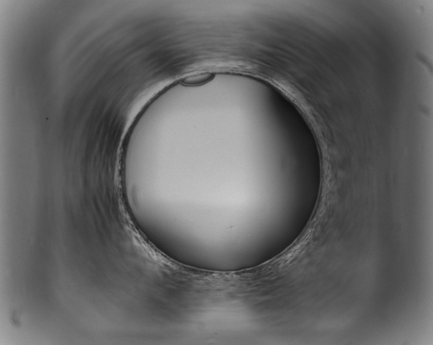 X0000100980912200806241145