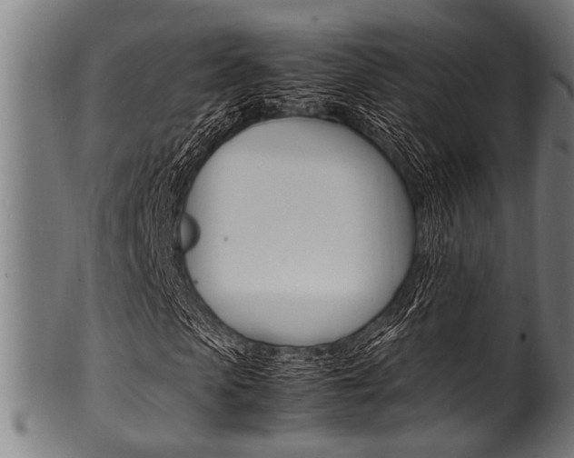 X0000100980913200806241145