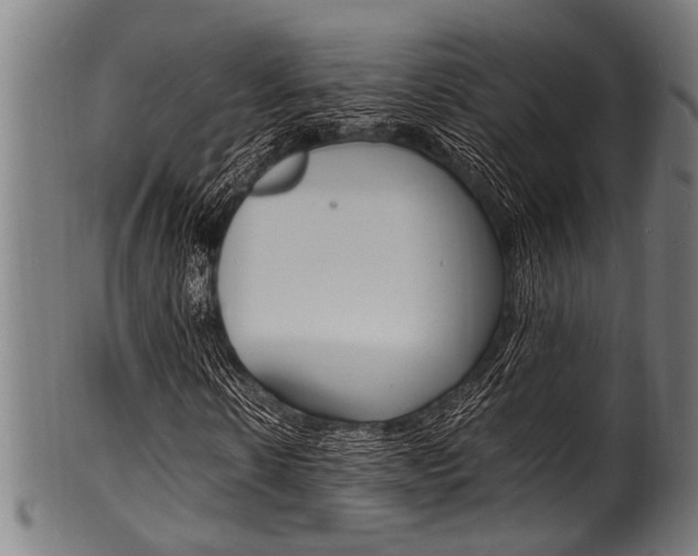 X0000100980914200806241145