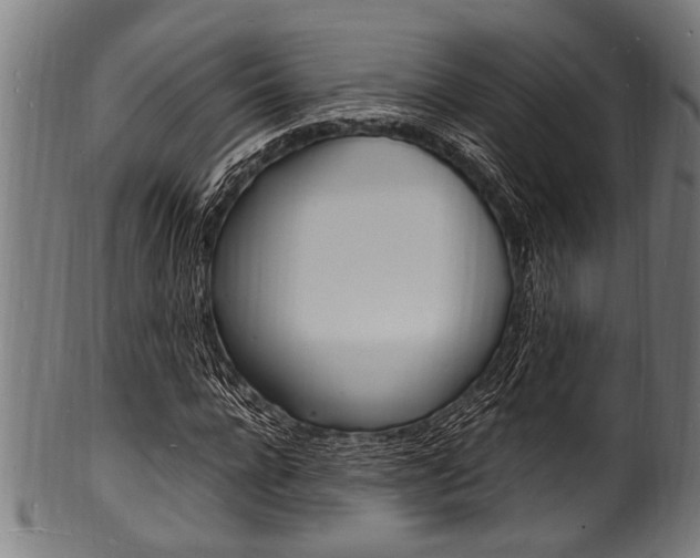 X0000100980920200806241145