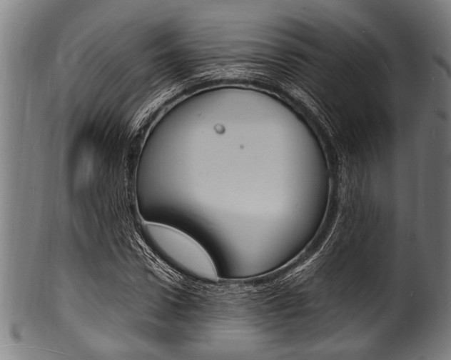 X0000100980922200806241145