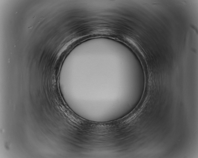 X0000100980923200806241145