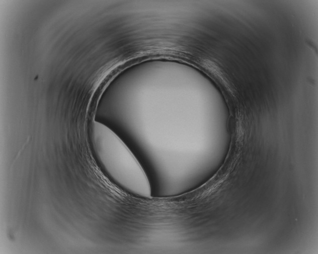 X0000100980924200806241145