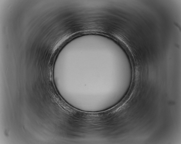 X0000100980925200806241145