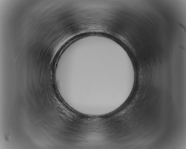 X0000100980926200806241145