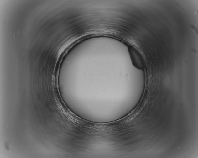 X0000100980928200806241145