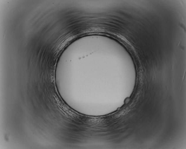 X0000100980929200806241145