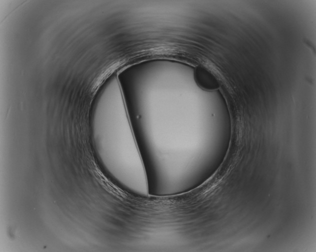 X0000100980930200806241145