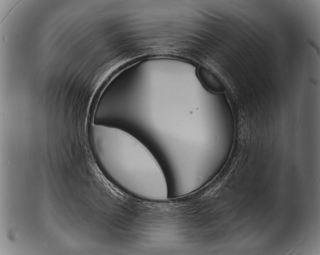 X0000100980932200806241145