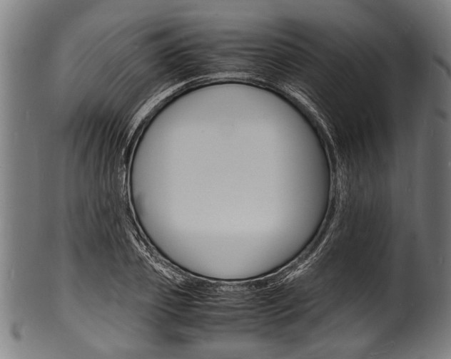 X0000100980933200806241145