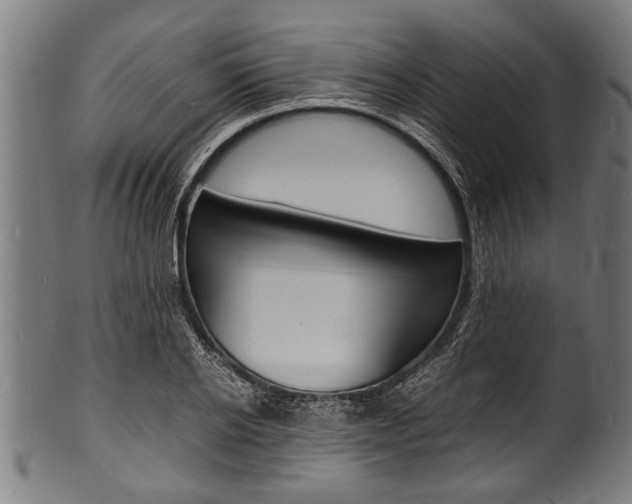 X0000100980934200806241145