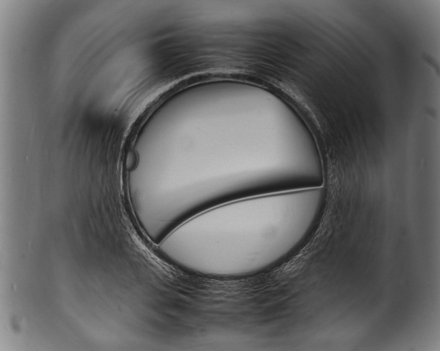 X0000100980935200806241145