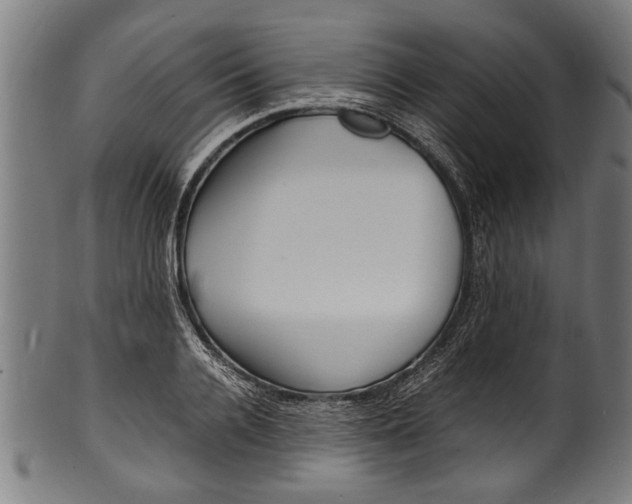 X0000100980936200806241145